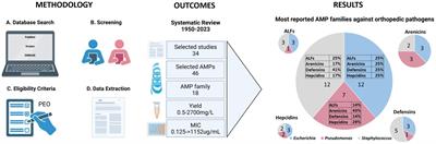 Revolutionizing orthopedic healthcare: a systematic review unveiling recombinant antimicrobial peptides